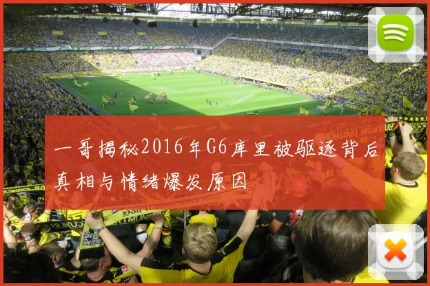 一哥揭秘2016年G6库里被驱逐背后真相与情绪爆发原因