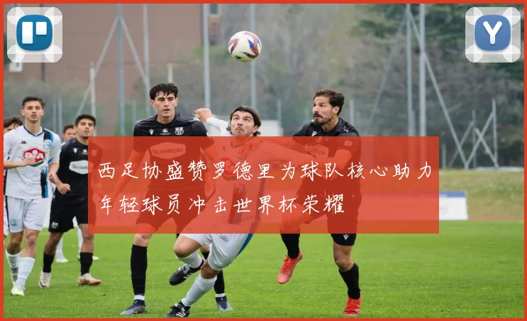 西足协盛赞罗德里为球队核心助力年轻球员冲击世界杯荣耀